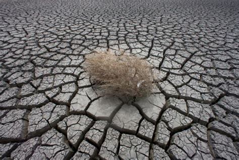 tony mohr|OPINION: Australia’s step back on climate change.